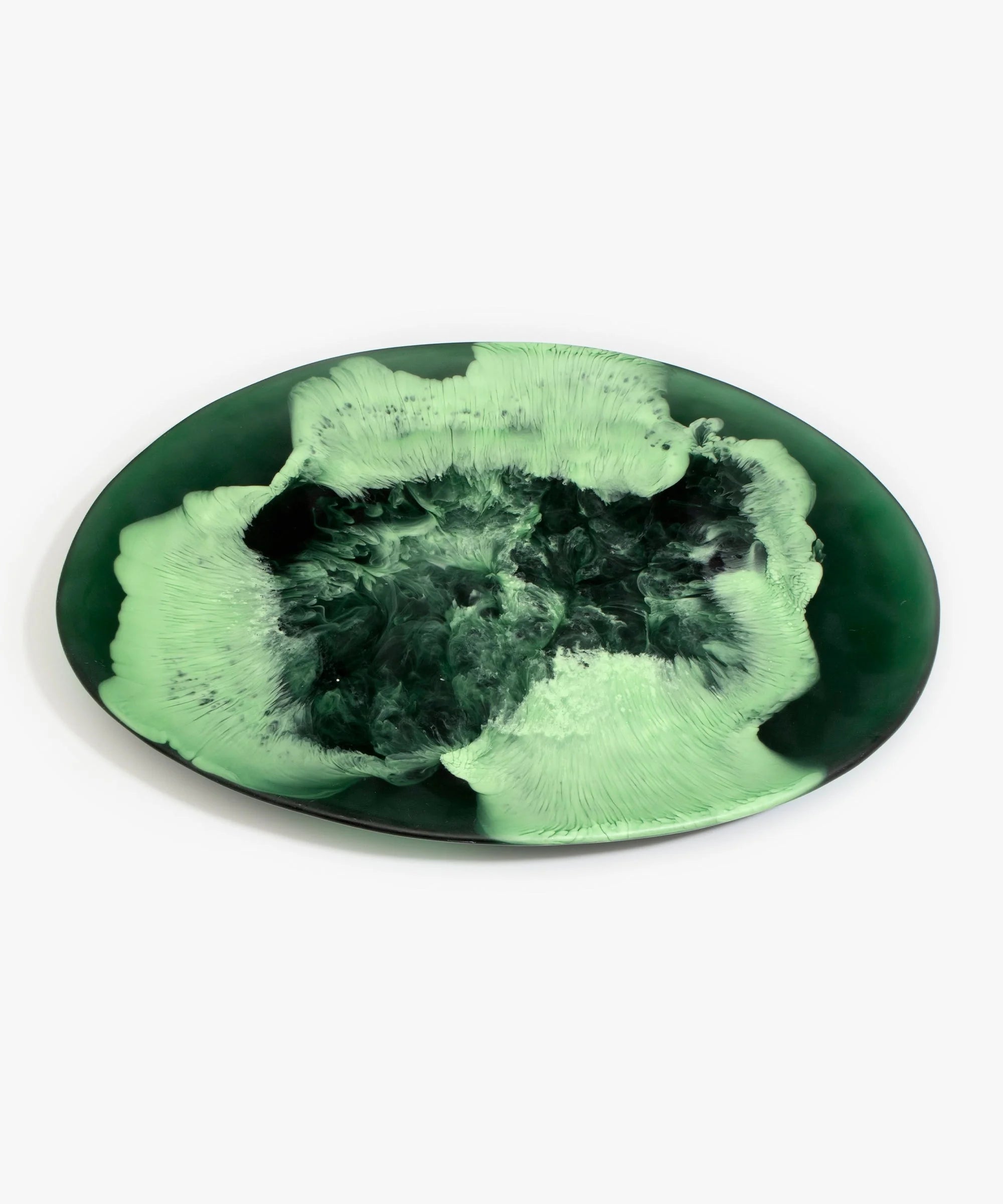 DINOSAUR DESIGNS MOSS LONG TEMPLE PLATTER