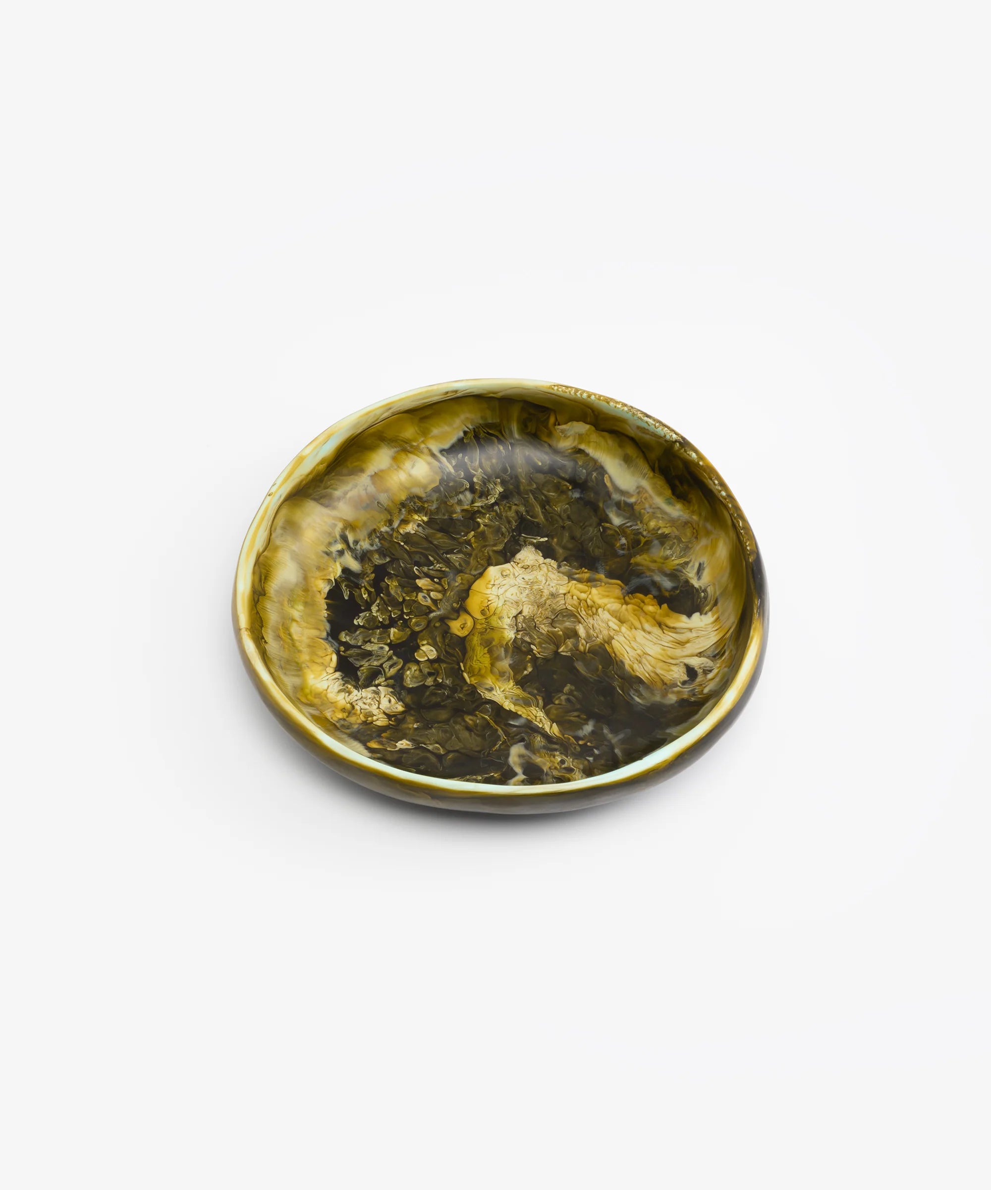 Bowl Earth Medium Water - Dinosaur Designs