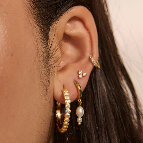 MURKANI SOUL PROTECTOR MEDIUM SHELL HOOP EARRINGS YELLOW GOLD