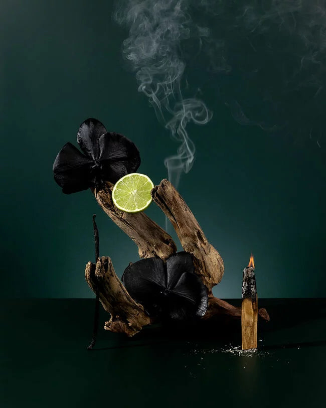 LUXURIATE CANDLE REFILL - AMBRE